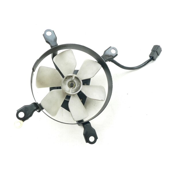 Kawasaki EL 250 E Lfter Khler / motor fan