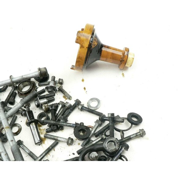 Kawasaki ZZ-R 600 ZX600D Schrauben Kleinteile Motor / screws sundries engine