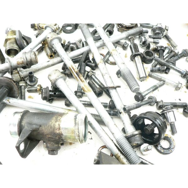 Kawasaki ZZ-R 600 ZX600D Schrauben Kleinteile Motor / screws sundries engine