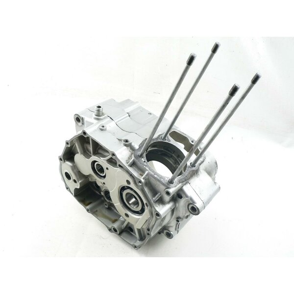 Daelim VT 125 Motorgehäuse / engine case