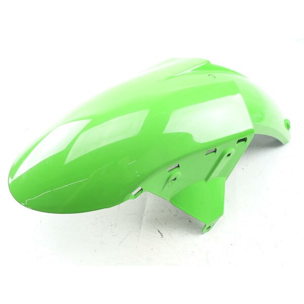 Kawasaki ZX-10R NINJA ZXT00D Kotflgel Schutzblech vorn / front fender