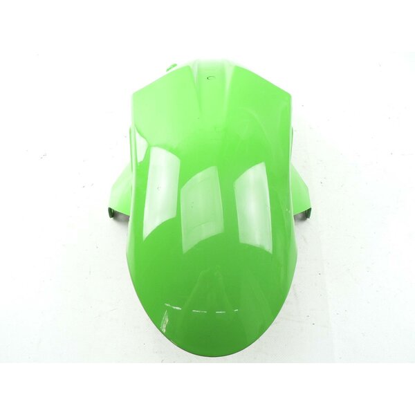 Kawasaki ZX-10R NINJA ZXT00D Kotflgel Schutzblech vorn / front fender