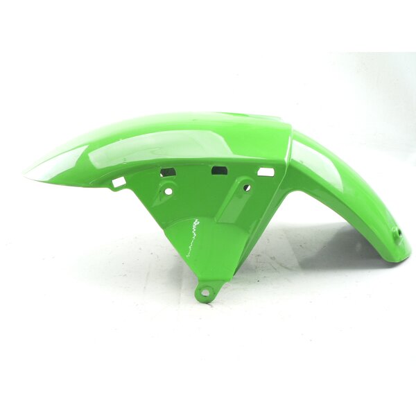 Kawasaki ZX-10R NINJA ZXT00D Kotflgel Schutzblech vorn / front fender