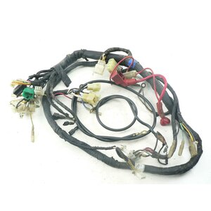 Hyosung GA 125 Cruise Kabelbaum / harness