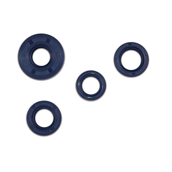 Wellendichtringe Satz Doppellippe Simson S51, S70, KR51/2, SR50, SR80 blau TCK
