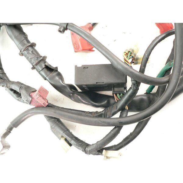 Honda XBR 500 PC15 Kabelbaum / harness