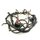 Honda XBR 500 PC15 Kabelbaum / harness