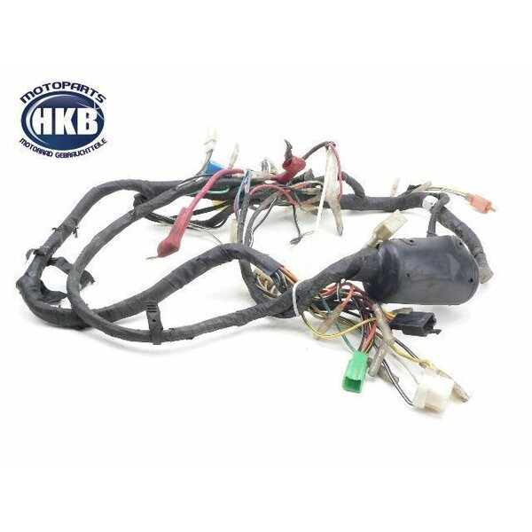 Hyosung GS 125 Kabelbaum Fahrzeug Elektrik / harness