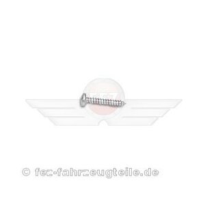 Schraube 3,9x22 Blech DIN 7981 verzinkt Simson MZ...
