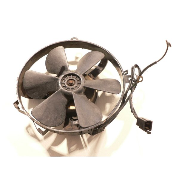 Honda CBR 1000 F SC24 Khlerlfter Ventilator / fan