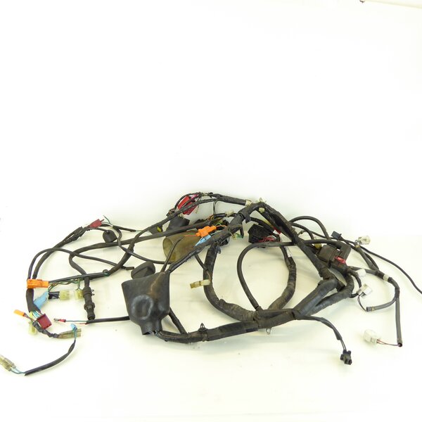 Honda CBR 600 F PC35 Kabelbaum / wire harness