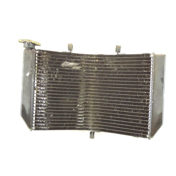 Honda CBR 600 F PC35 Kühler / radiator
