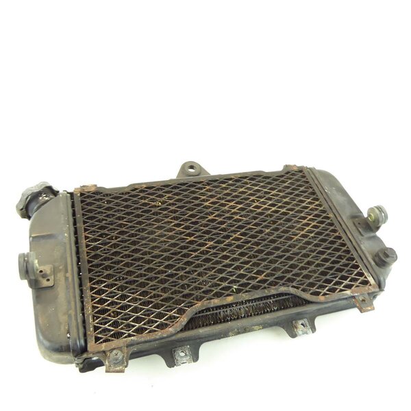 Yamaha TDM 850 3VD Khler Wasserkhler / radiator