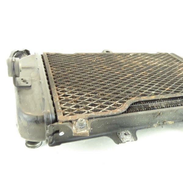 Yamaha TDM 850 3VD Khler Wasserkhler / radiator