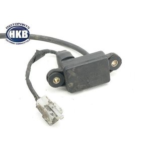 Yamaha XVZ 1300 TD 3JS Boost-Fhler Tempomat / sensor