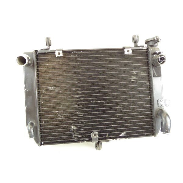 Yamaha YZF-R6 RJ03 Khler Wasserkhler / radiator