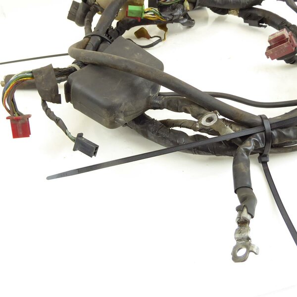 Honda CBR 600 F PC23 Kabelbaum / wire harness