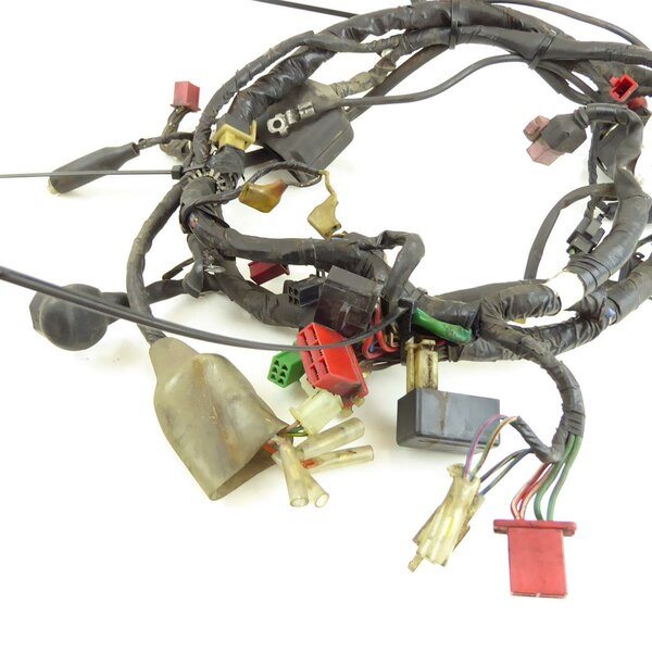 Honda CBR 600 F PC23 Kabelbaum / wire harness