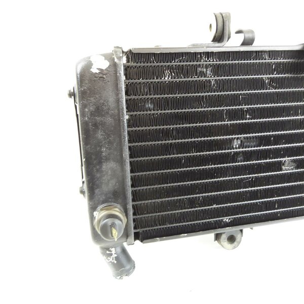 Honda CBR 600 F PC23 Khler Wasserkhler / radiator