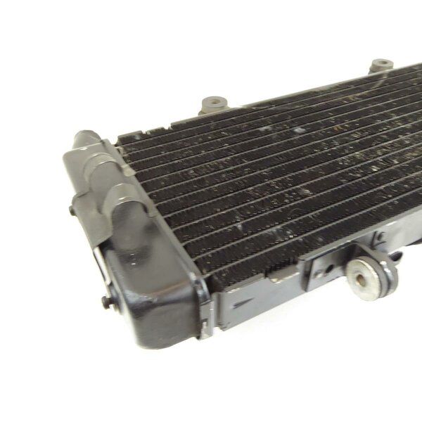 Honda CBR 600 F PC23 Khler Wasserkhler / radiator