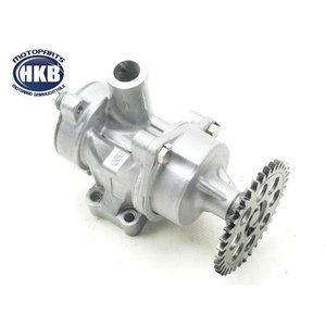Suzuki GSF 600 BANDIT GN77B lpumpe / oil pump