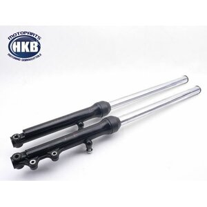 Hyosung GS 125 Telegabel Federung / telescopic fork #2