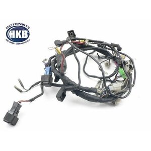 Yamaha SR 125 SE 10F Kabelbaum Kabelstrang Kabel /...