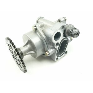 Suzuki GSF 600 BANDIT GN77B lpumpe / oil pump #2