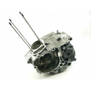 Daelim VJ 125 Roadwin Motorgehuse / engine case #2